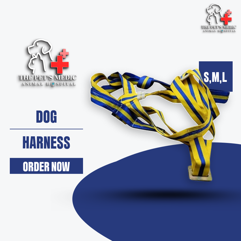 Dog Harness
