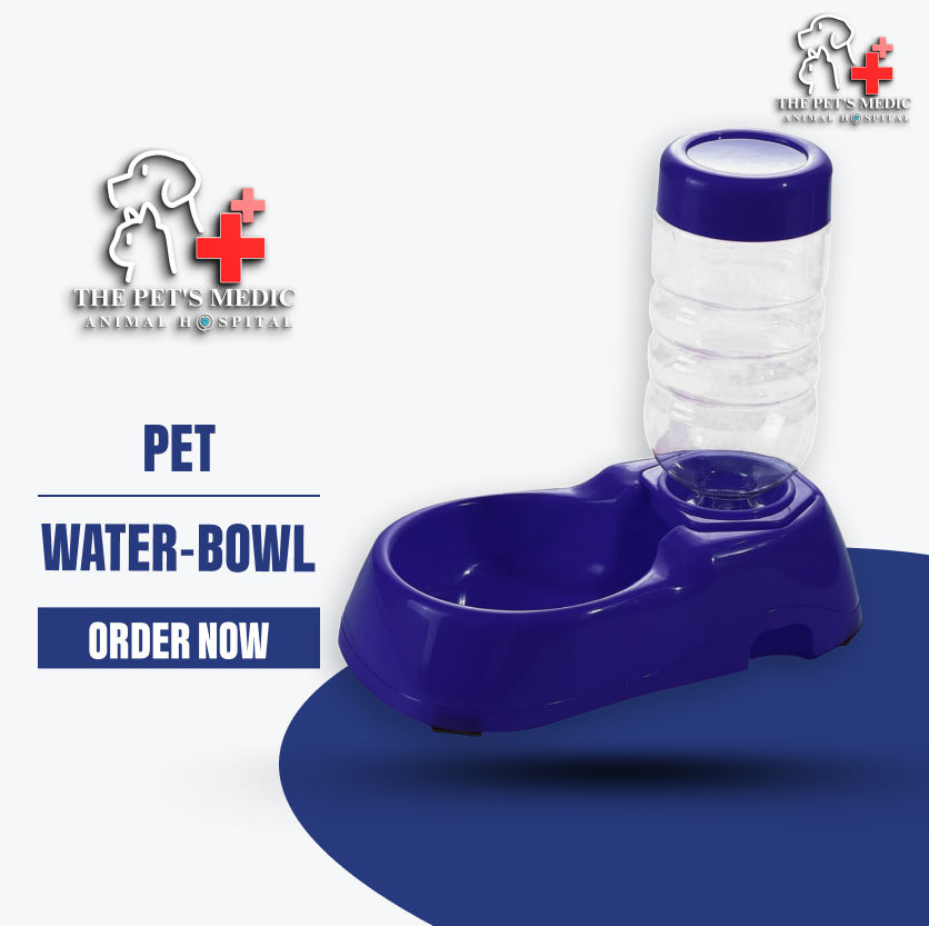 Pet Water Bowl With Bottle