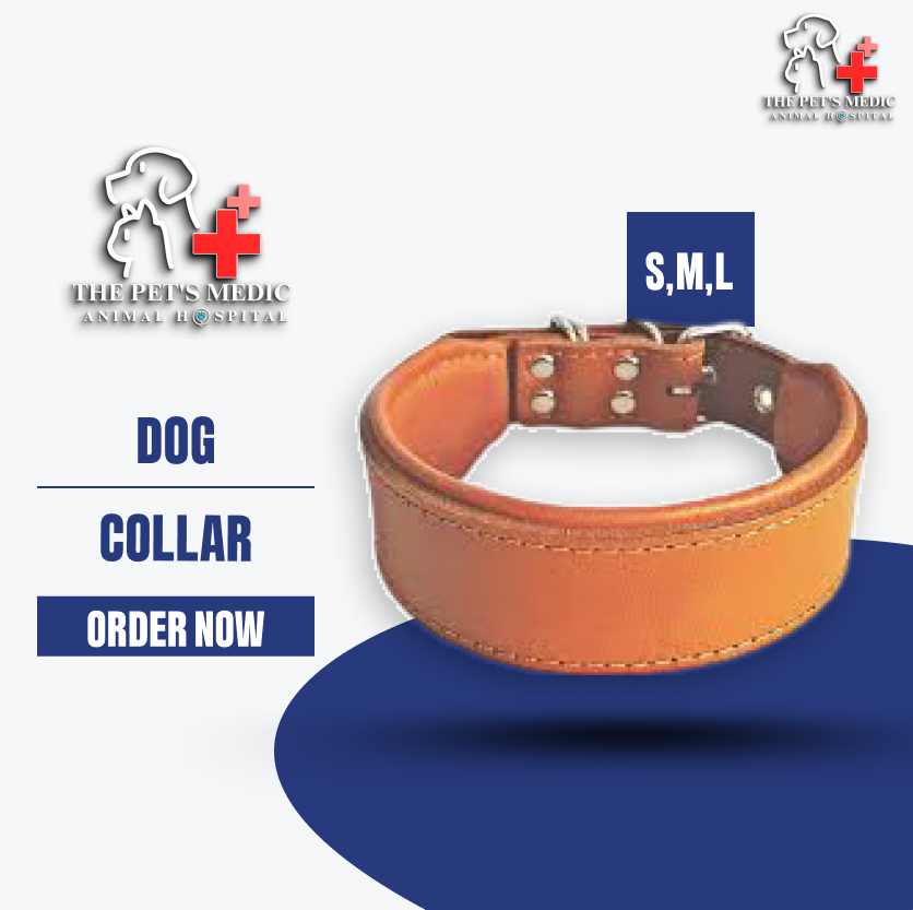 Dog Collar-Leather