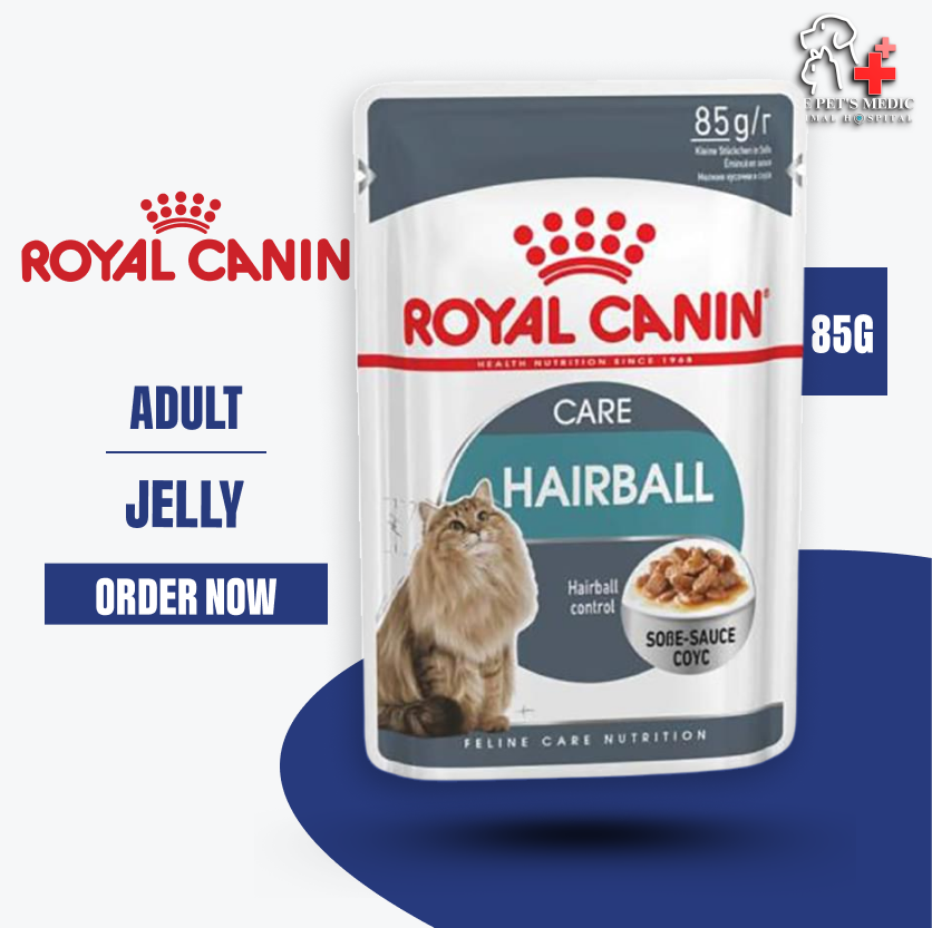 Royal Canin Adult Cat Jelly