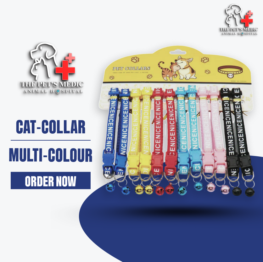 Cat Collar Multi-Colour
